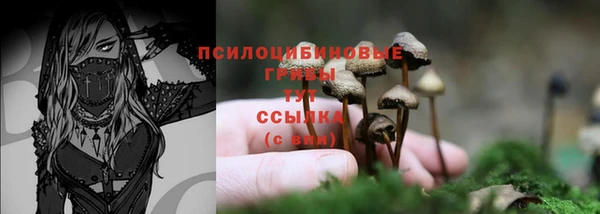 spice Надым