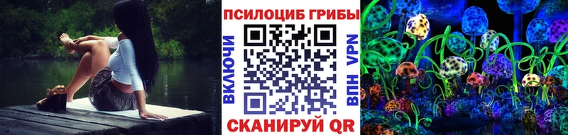 Галлюциногенные грибы мицелий  что такое   Казань 