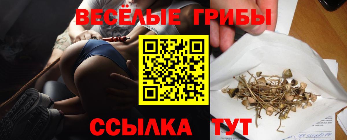Псилоцибиновые грибы мухоморы Казань