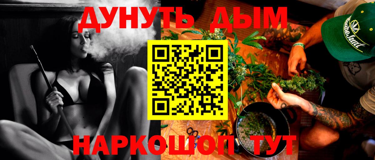 Канабис сатива Казань